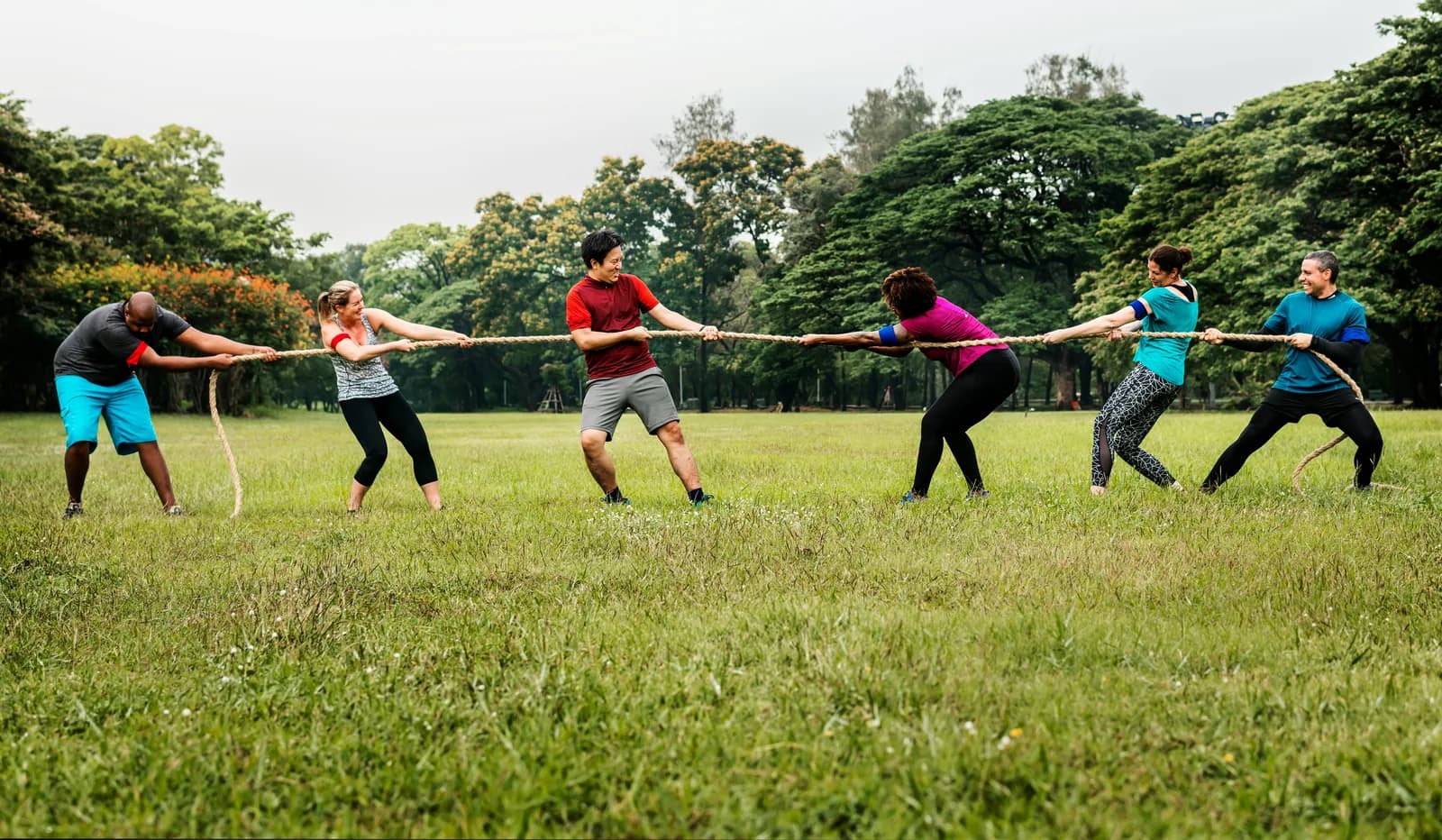 A bespoke team activity designed around the group
