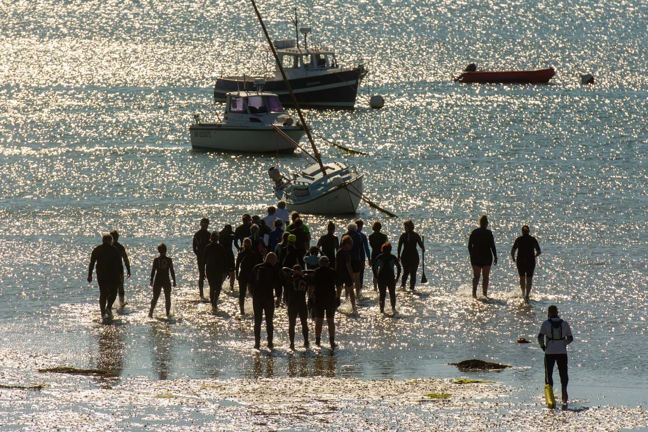 A group wading into the sea at dawn for a wild swim